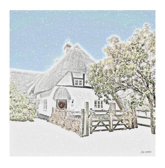 Delightful 3Bed Thatched Cottage Stockbridge  Luaran gambar