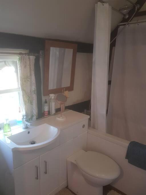 Delightful 3Bed Thatched Cottage Stockbridge  Luaran gambar